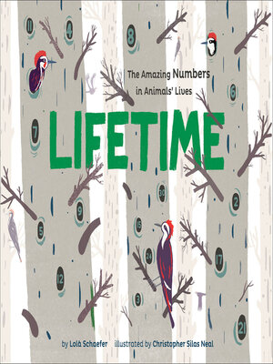cover image of Lifetime